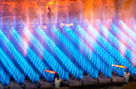 Burton Dassett gas fired boilers